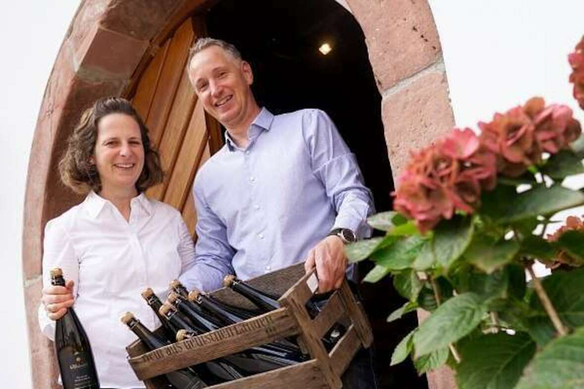 Weinverkostung: Wein & Käse online[at]HOME