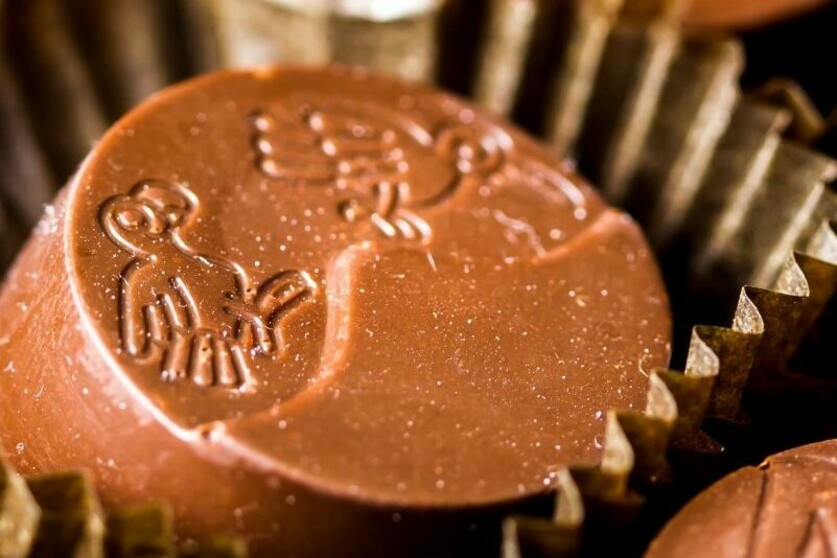 Pralinenkurs: süß und vegan