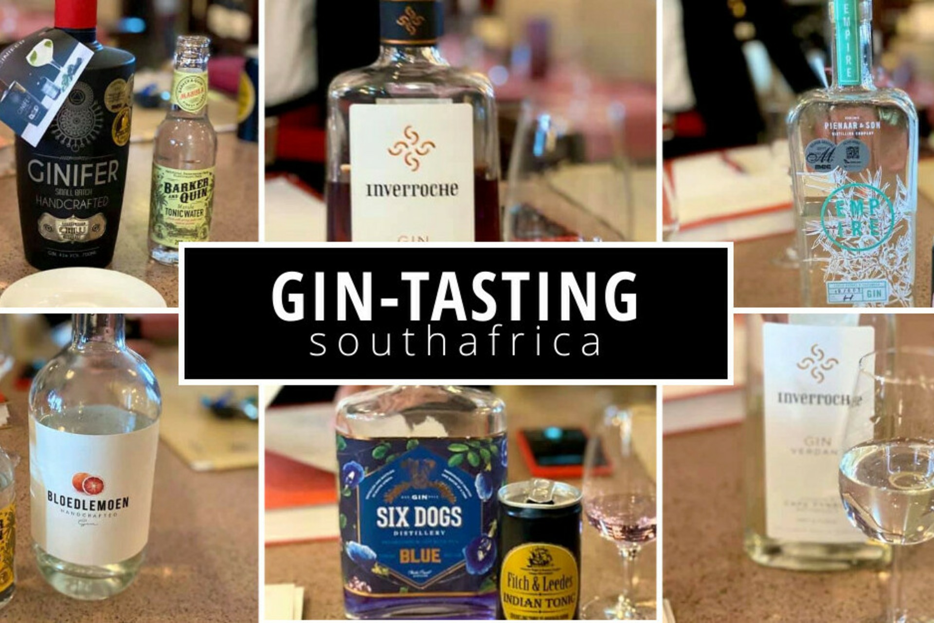 Gin Tasting Southafrica